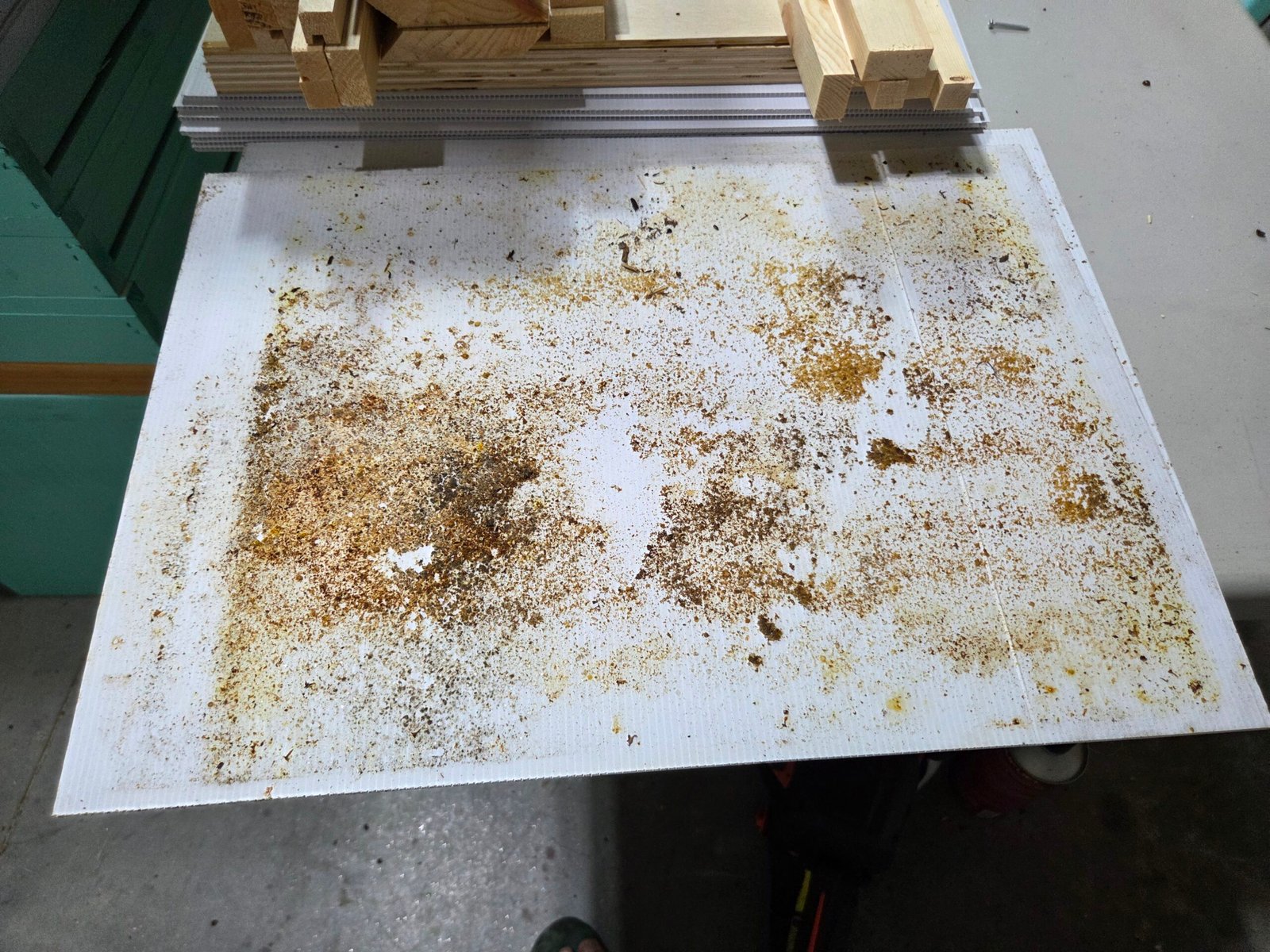 Screened Bottom Board - Image 4