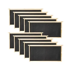 Langstroth Deep Brood Frames & Wax-Coated Foundation - 10 Pack