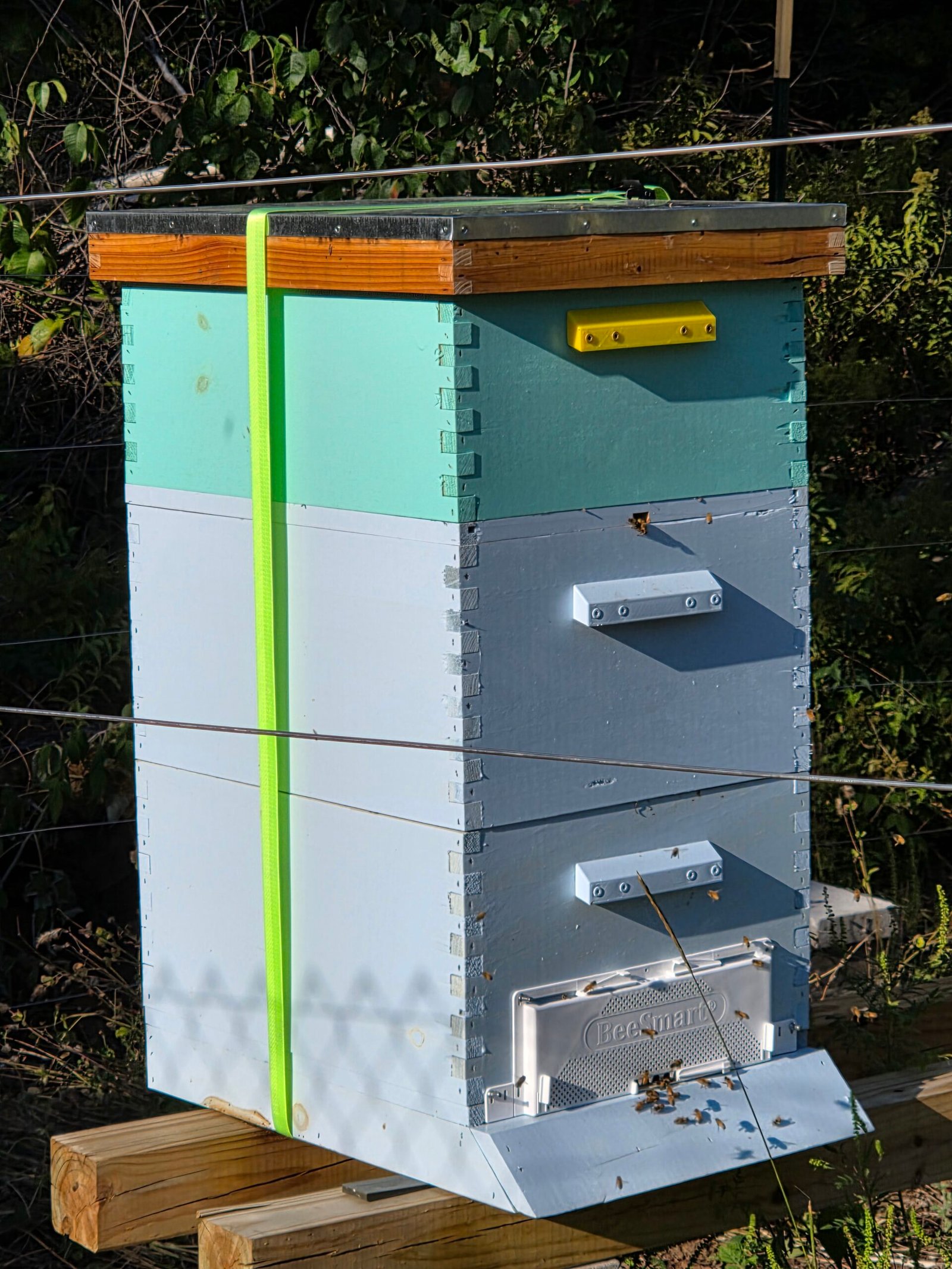 Screened Bottom Board - Image 3