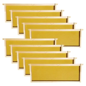 Langstroth Medium Super Frames & Wax-Coated Foundations - 10 Pack